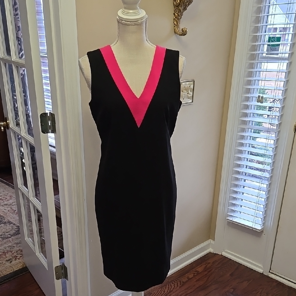 CALVIN KLEIN elegant Black and Pink V-Neck Dress Sleeveless fully lined 12 EUC